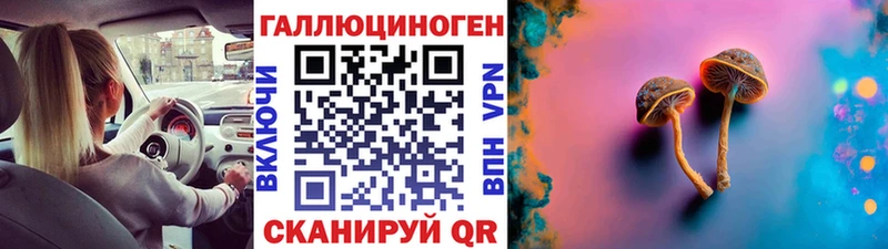 Купить где  Алдан  Галлюциногенные грибы Magic Shrooms 