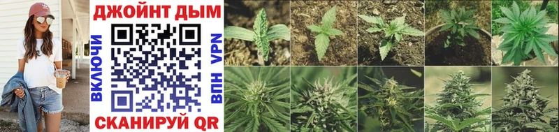 Бошки Шишки Bruce Banner  Купить  Алдан 